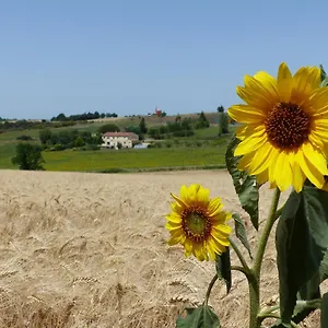 Gites Des Camparros Maison d'hôtes